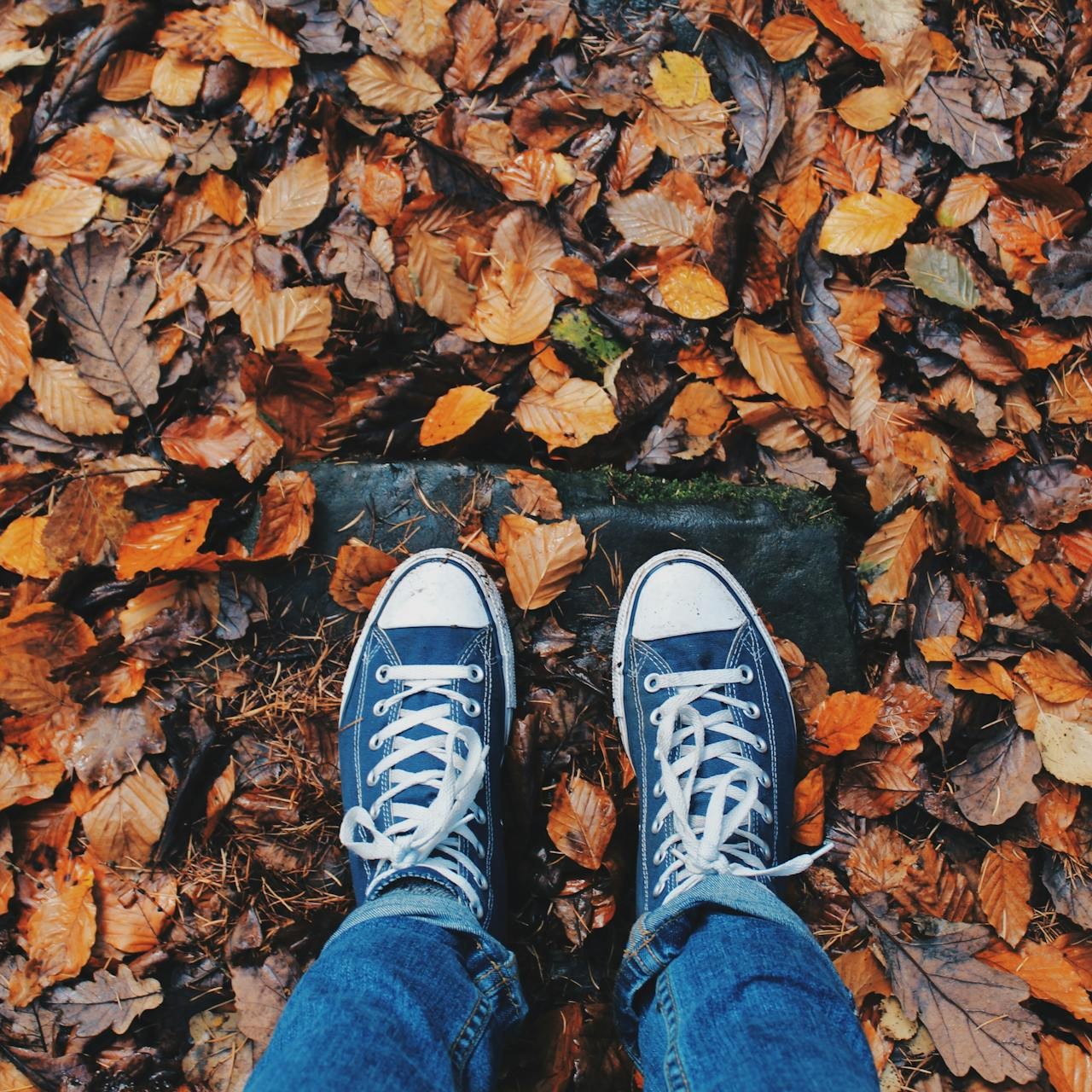 Fall Leaves With Feet