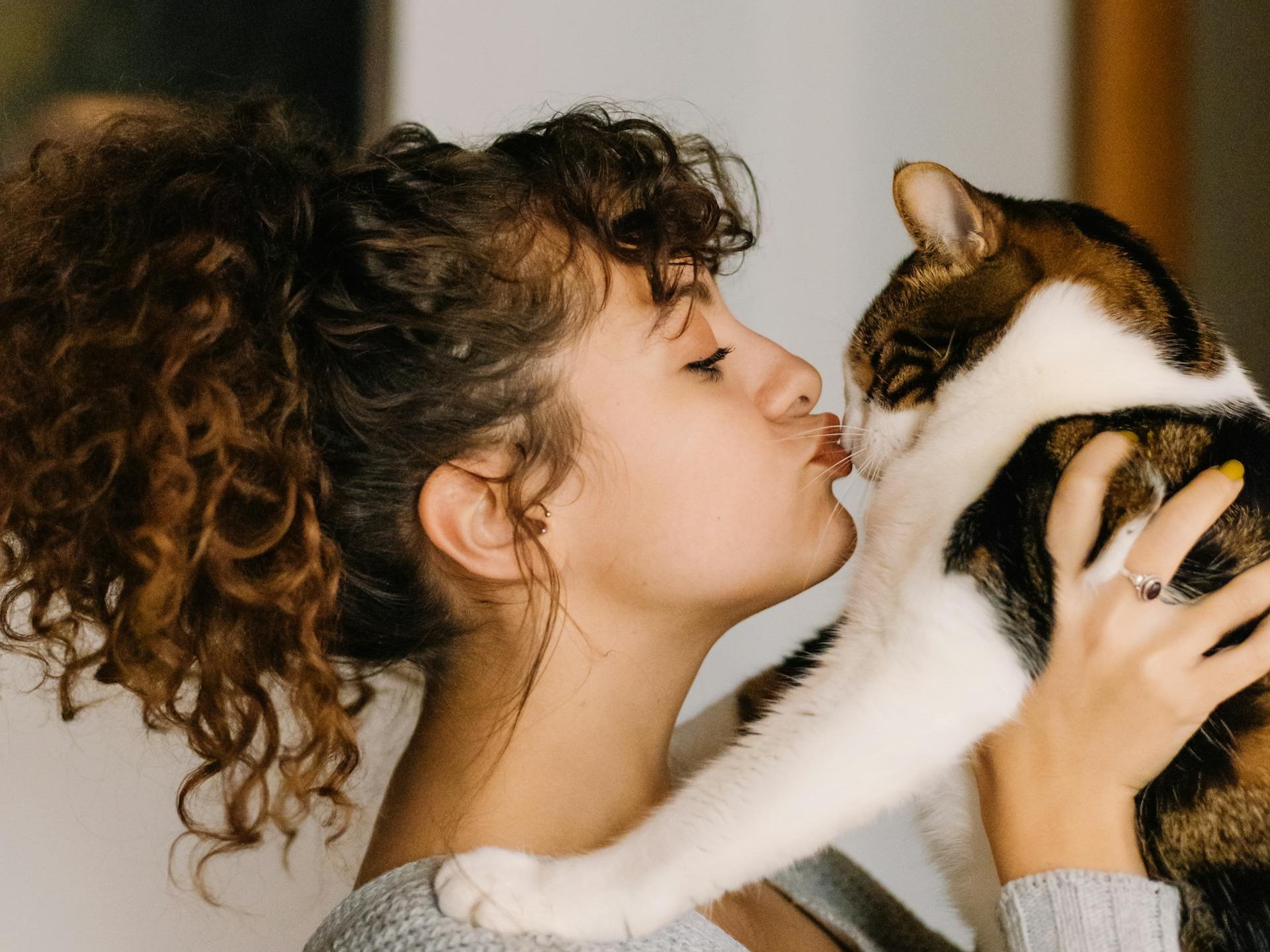 cat in fishers dander in air conditioner