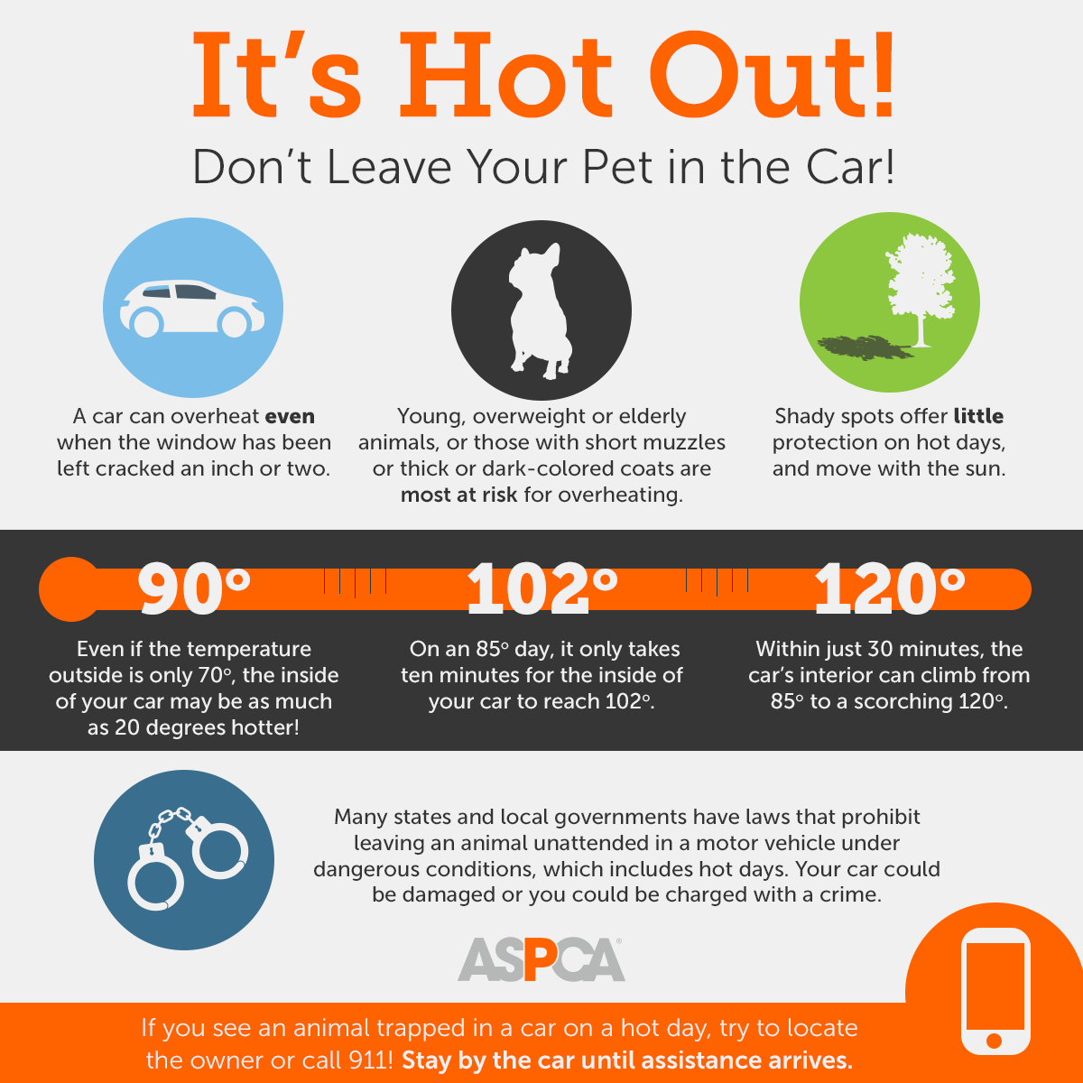 hot cars infographic update 072017 shareable b